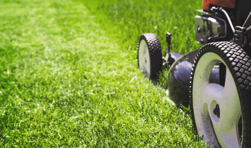 Turf Time Lawn Care