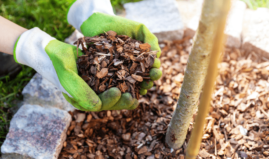 Turf Time Lawn Care
